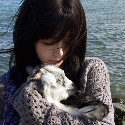 愤怒的小鸟：夏日疯狂第三季