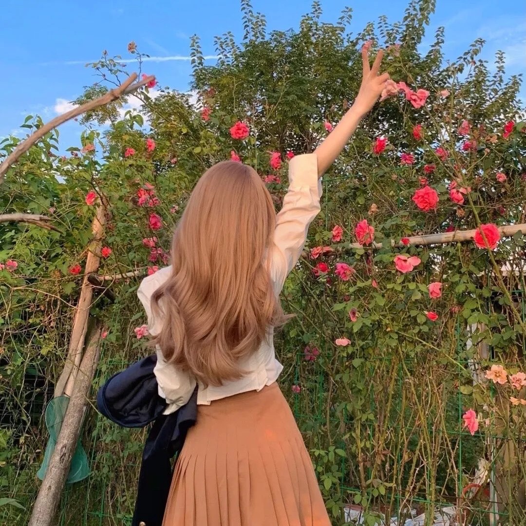 便当盒里的小秘密